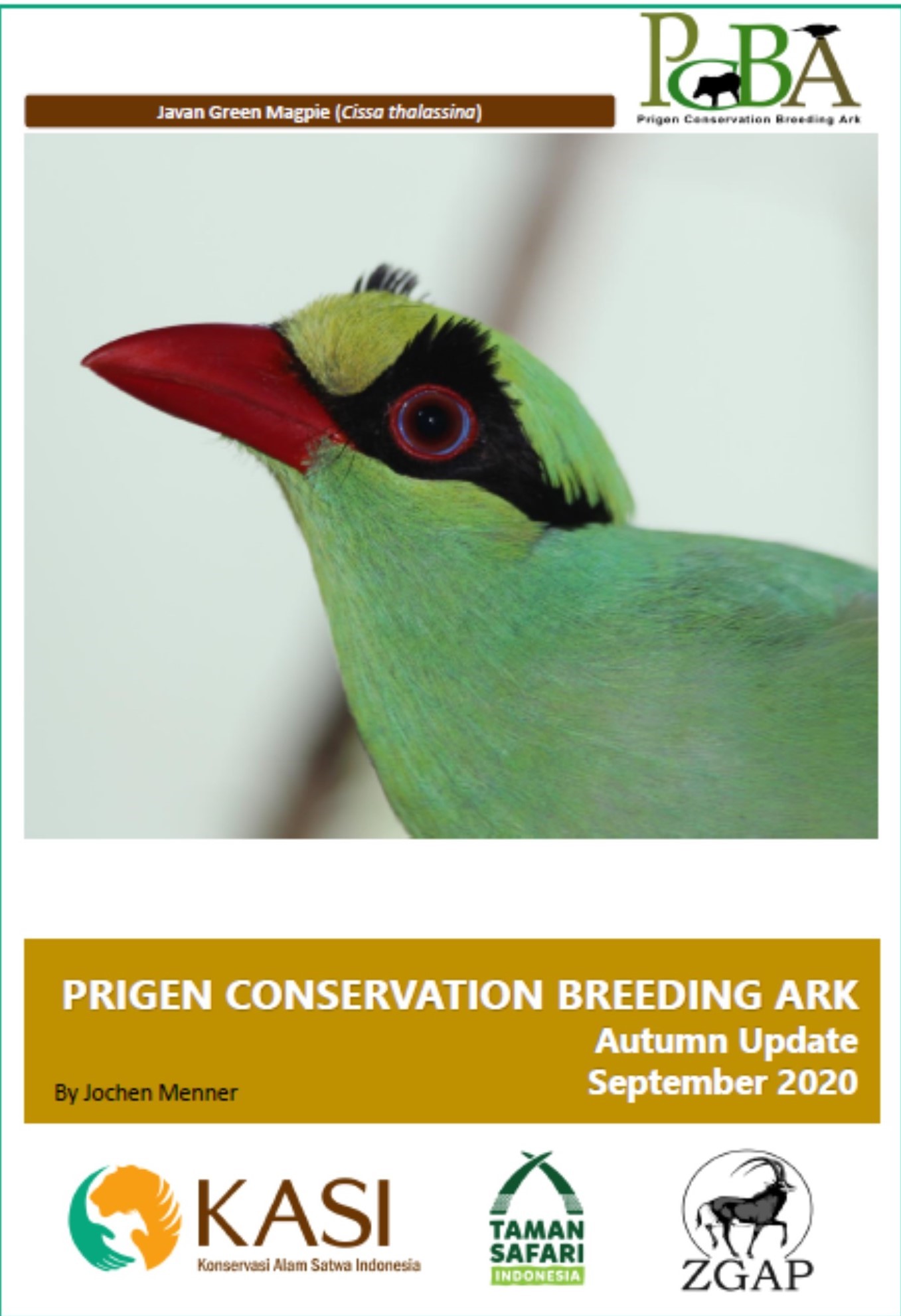 News From The Prigen Conservation Breeding Ark – Silent Forest